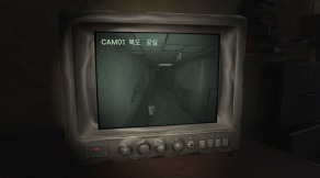 CCTV 검은 남자